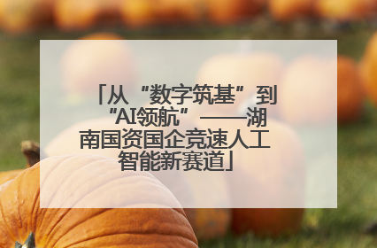 从“数字筑基”到“AI领航”——湖南国资国企竞速人工智能新赛道