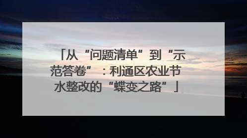 从“问题清单”到“示范答卷”：利通区农业节水整改的“蝶变之路”