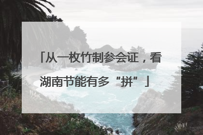 从一枚竹制参会证，看湖南节能有多“拼”