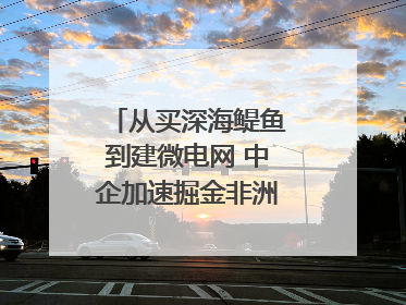 从买深海鳀鱼到建微电网 中企加速掘金非洲现代化｜直击中非经贸博览会