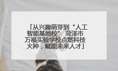 从兴趣萌芽到“人工智能基地校” 菏泽市万福实验学校点燃科技火种，赋能未来人才