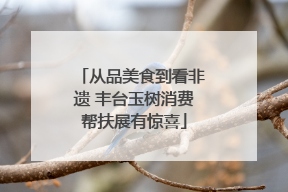 从品美食到看非遗 丰台玉树消费帮扶展有惊喜