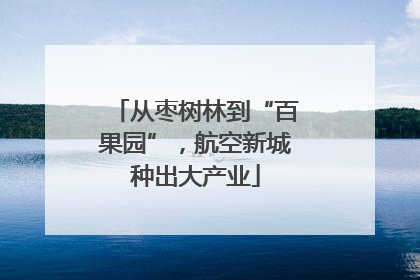 从枣树林到“百果园”，航空新城种出大产业