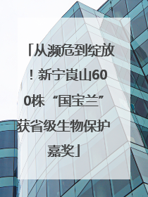 从濒危到绽放！新宁崀山600株“国宝兰”获省级生物保护嘉奖