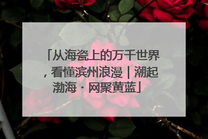 从海瓷上的万千世界，看懂滨州浪漫｜潮起渤海・网聚黄蓝