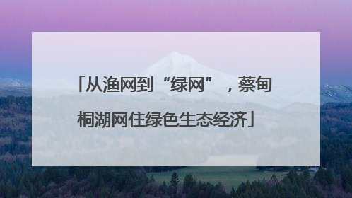 从渔网到“绿网”，蔡甸桐湖网住绿色生态经济