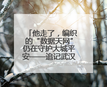 他走了，编织的“数据天网”仍在守护大城平安——追记武汉市公安局因公牺牲民警万松