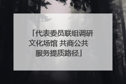 代表委员联组调研文化场馆 共商公共服务提质路径