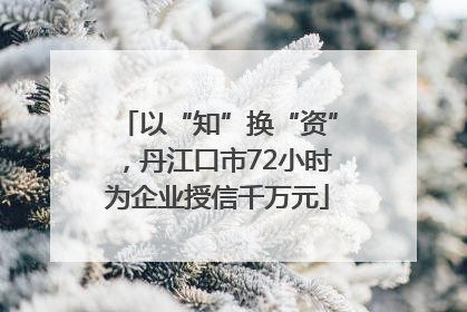 以“知”换“资”，丹江口市72小时为企业授信千万元