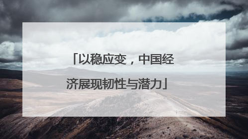 以稳应变，中国经济展现韧性与潜力