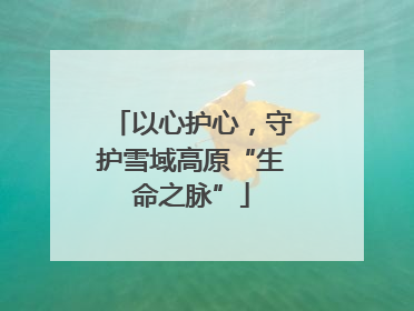 以心护心，守护雪域高原“生命之脉”