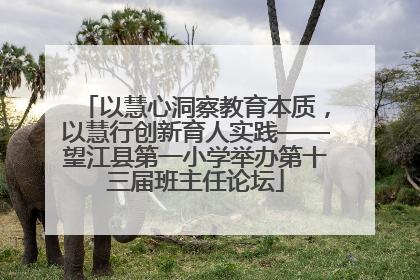 以慧心洞察教育本质，以慧行创新育人实践——望江县第一小学举办第十三届班主任论坛