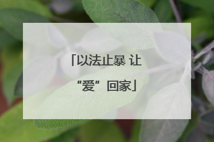 以法止暴 让“爱”回家