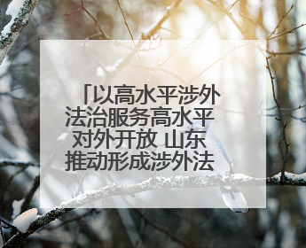 以高水平涉外法治服务高水平对外开放 山东推动形成涉外法治大协同工作格局