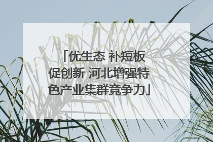 优生态 补短板 促创新 河北增强特色产业集群竞争力
