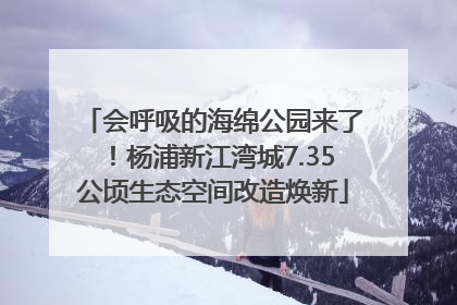 会呼吸的海绵公园来了！杨浦新江湾城7.35公顷生态空间改造焕新
