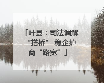 叶县：司法调解“搭桥” 稳企护商“路宽”