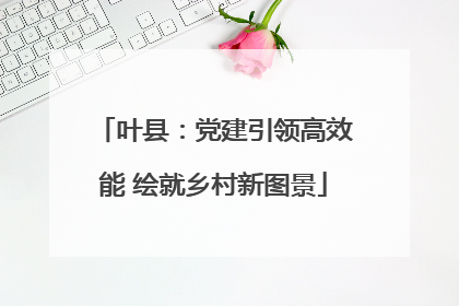 叶县：党建引领高效能 绘就乡村新图景