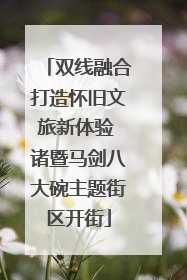 双线融合打造怀旧文旅新体验 诸暨马剑八大碗主题街区开街