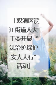 双清区滨江街道人大工委开展“法治护绿护安人大行”活动