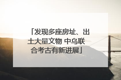 发现多座房址、出土大量文物 中乌联合考古有新进展
