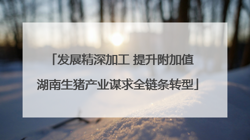 发展精深加工 提升附加值 湖南生猪产业谋求全链条转型