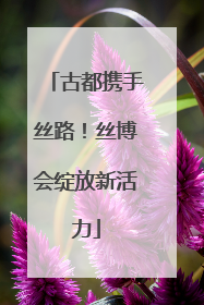 古都携手丝路！丝博会绽放新活力