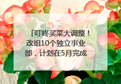 叮咚买菜大调整！改组10个独立事业部，计划在5月完成App端全面改版