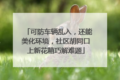 可防车辆乱入，还能美化环境，社区胡同口上新花箱巧解难题
