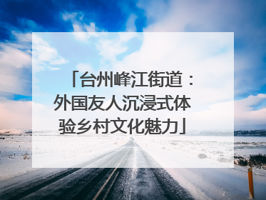 台州峰江街道：外国友人沉浸式体验乡村文化魅力