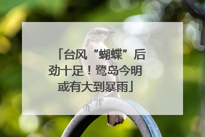 台风“蝴蝶”后劲十足！鹭岛今明或有大到暴雨