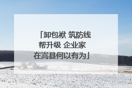 卸包袱 筑防线 帮升级 企业家在嵩县何以有为