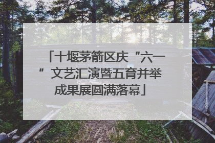 十堰茅箭区庆“六一”文艺汇演暨五育并举成果展圆满落幕