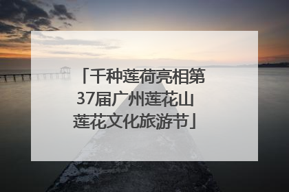 千种莲荷亮相第37届广州莲花山莲花文化旅游节