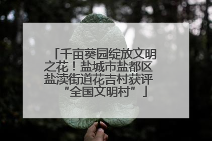 千亩葵园绽放文明之花！盐城市盐都区盐渎街道花吉村获评“全国文明村”