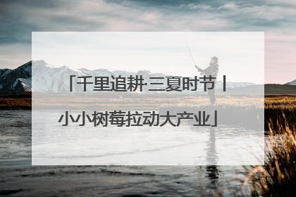 千里追耕·三夏时节丨小小树莓拉动大产业