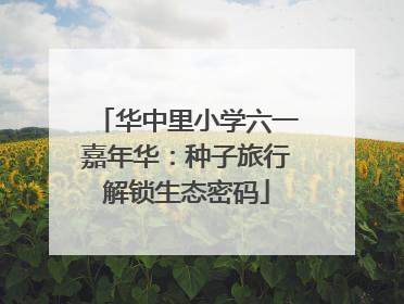 华中里小学六一嘉年华：种子旅行解锁生态密码