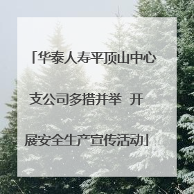 华泰人寿平顶山中心支公司多措并举  开展安全生产宣传活动