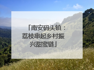南安码头镇：荔枝串起乡村振兴甜蜜链