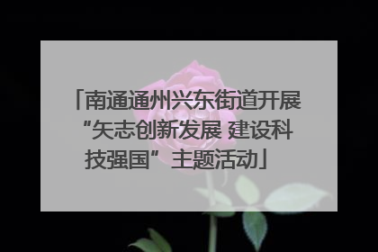 南通通州兴东街道开展“矢志创新发展 建设科技强国”主题活动