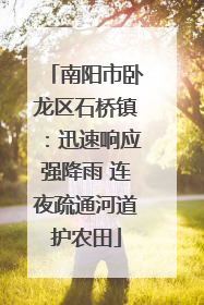南阳市卧龙区石桥镇：迅速响应强降雨 连夜疏通河道护农田