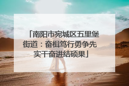 南阳市宛城区五里堡街道：奋楫笃行勇争先 实干奋进结硕果
