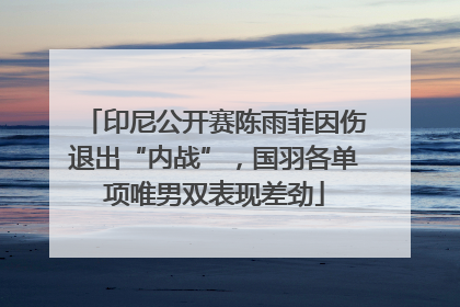 印尼公开赛陈雨菲因伤退出“内战”，国羽各单项唯男双表现差劲
