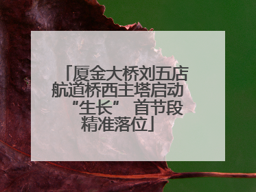 厦金大桥刘五店航道桥西主塔启动“生长” 首节段精准落位