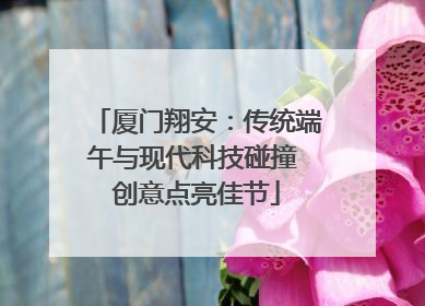 厦门翔安：传统端午与现代科技碰撞 创意点亮佳节