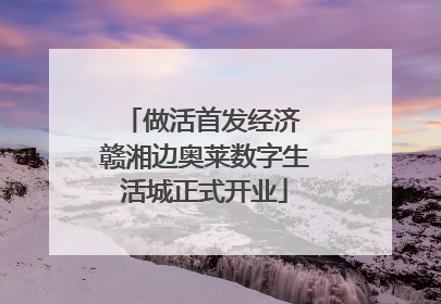 做活首发经济 赣湘边奥莱数字生活城正式开业