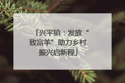兴平镇：发放“致富羊”助力乡村振兴启新程