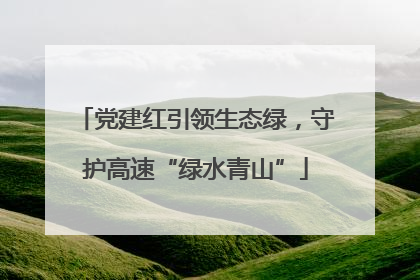 党建红引领生态绿，守护高速“绿水青山”