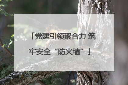 党建引领聚合力 筑牢安全“防火墙”
