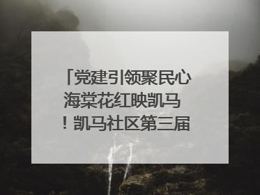 党建引领聚民心 海棠花红映凯马！凯马社区第三届邻里生活节谱写幸福新篇章